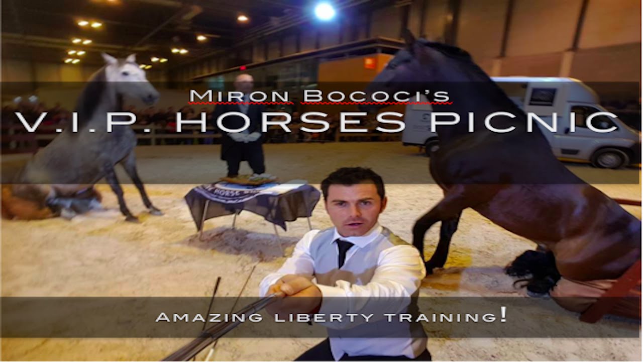 MIRON BOCOCI  - Madrid Horse Week 2015 1080p