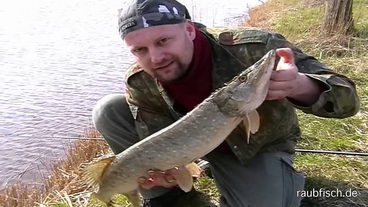 Uferangeln mit Matze Koch