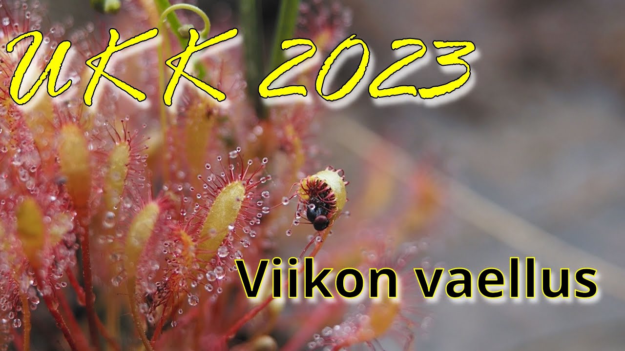 Urho Kekkosen Kansallispuisto 2023 -Kauniita kelejä ja kevyttä kulkemista |ENG SUB|