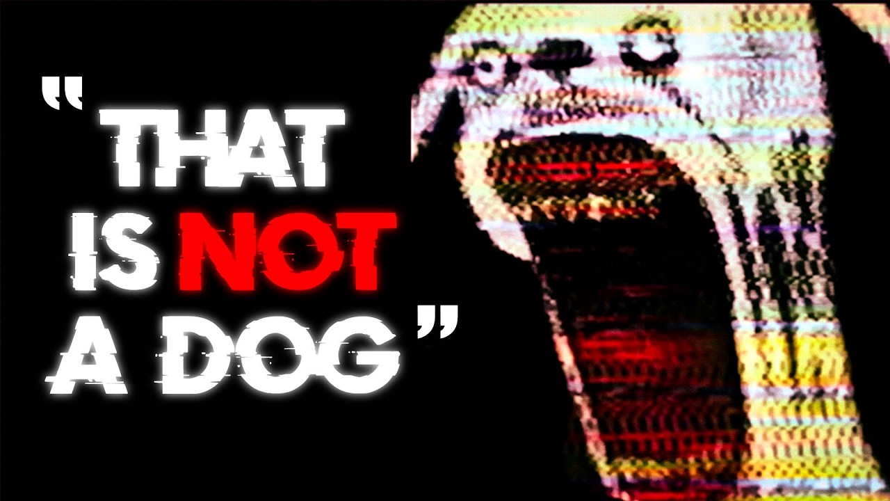 The E X P E R I M E N T That Went H O R R I B L Y Wrong