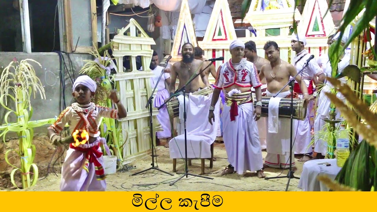 Dewol Madu Shanthikarmaya Sri Lankan Traditional Dancing Culture Festival මිල්ල කැපීම Part 2