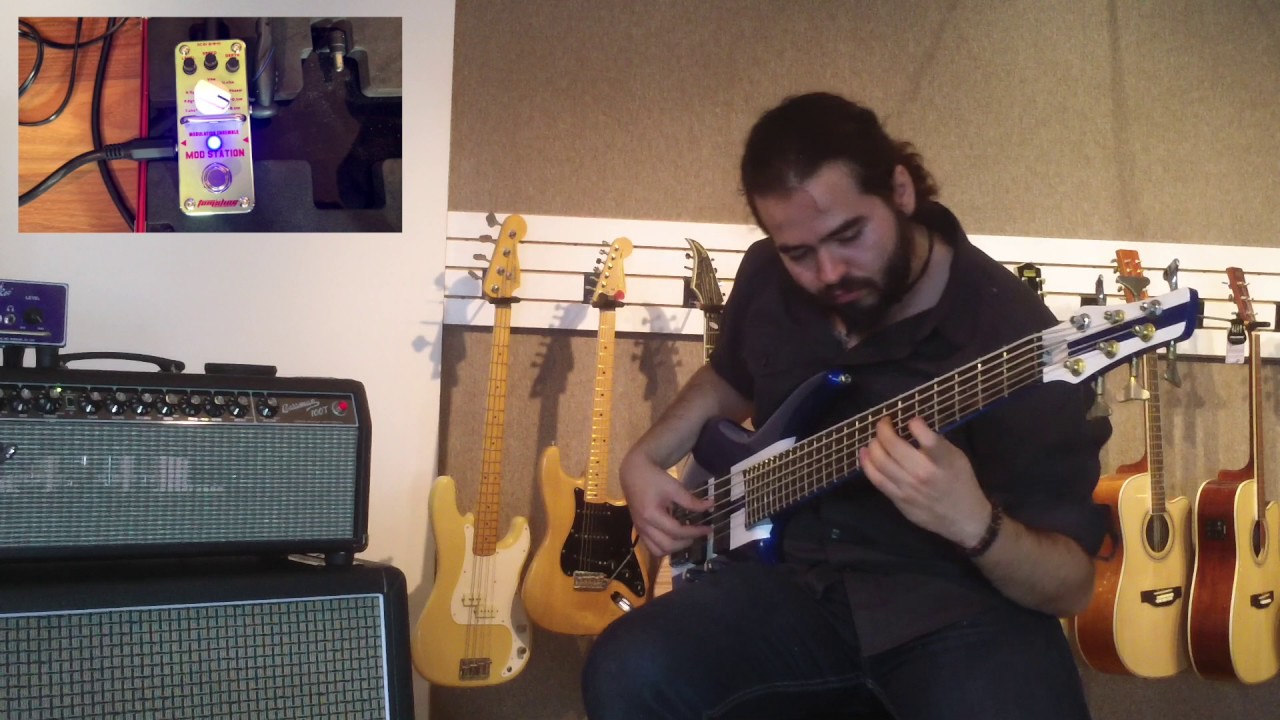 Tom´s Line Engineering Mod Station (Bass)