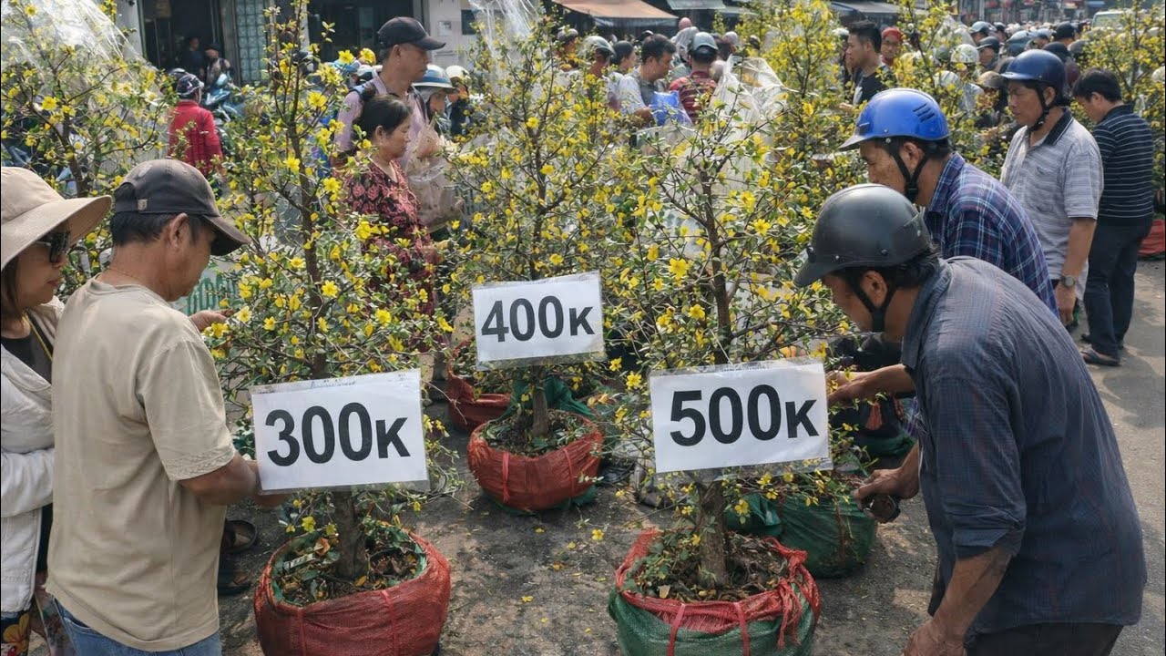 Hàng trăm người chen chúc mua cây mai giá rẻ 300k, 400k, 500k chơi Tết 2026 tại Bến Bình Đông Quận 8