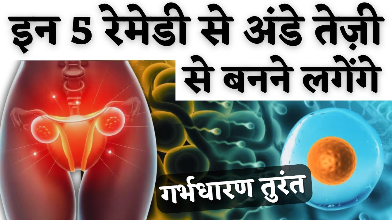 इन 5 रेमेडी से अंडे तेजी से बनने लगेंगे - Egg Quality & Fertility diet tips  #prernasfertilitycare
