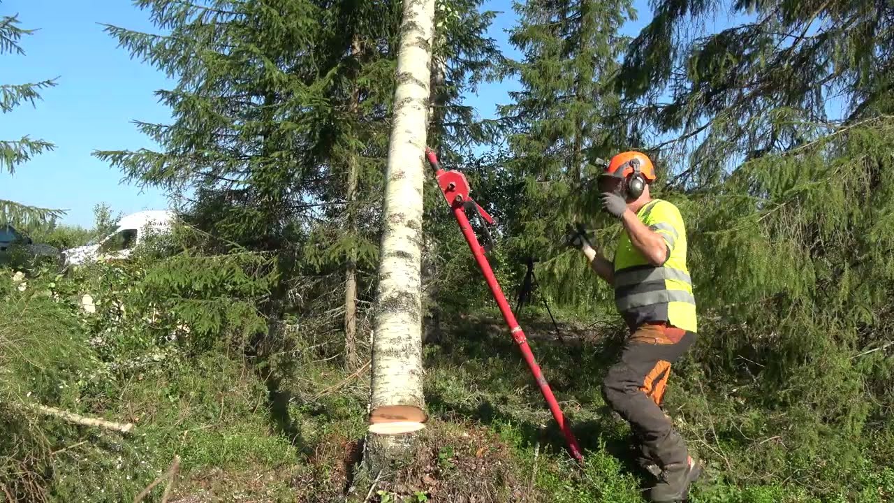 Metsolan Metsäkoulu 395 - kaikki konkelon purkutavat!