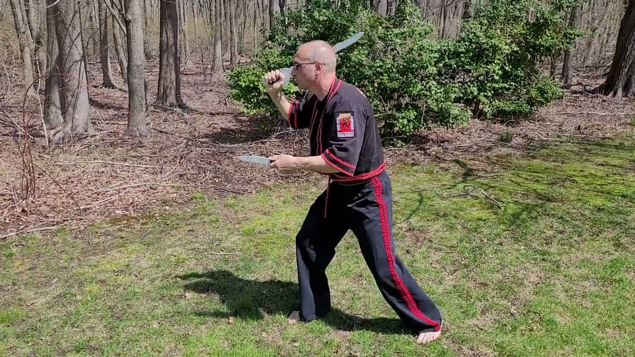 ESPADA Y DAGA Combinations of ARNIS | Filipino Martial Arts | Lorne Therrien