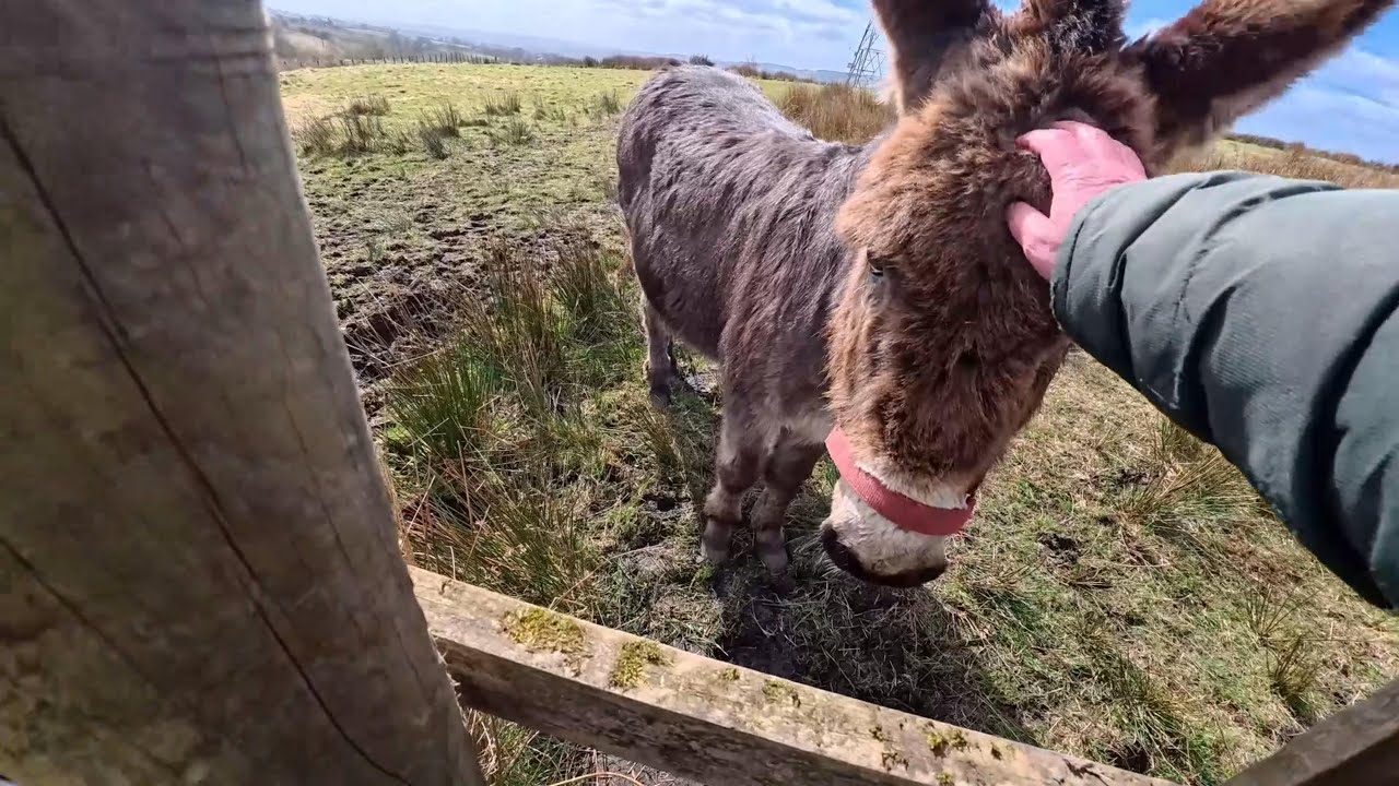 A five mile Circular walk from Hawkshaw, passing through Edgworth, Quarlton Vale and Turton Bottoms.
