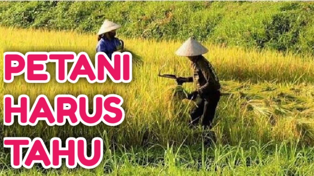ALASAN MENGAPA PETANI INDONESIA BANYAK YANG MISKIN
