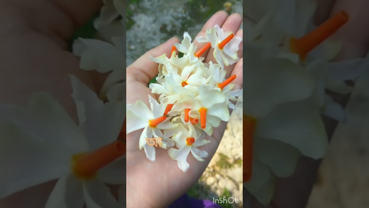 #duggaelo #edit #fypシ l #slowedandreverb #shorts #viral #shaptami