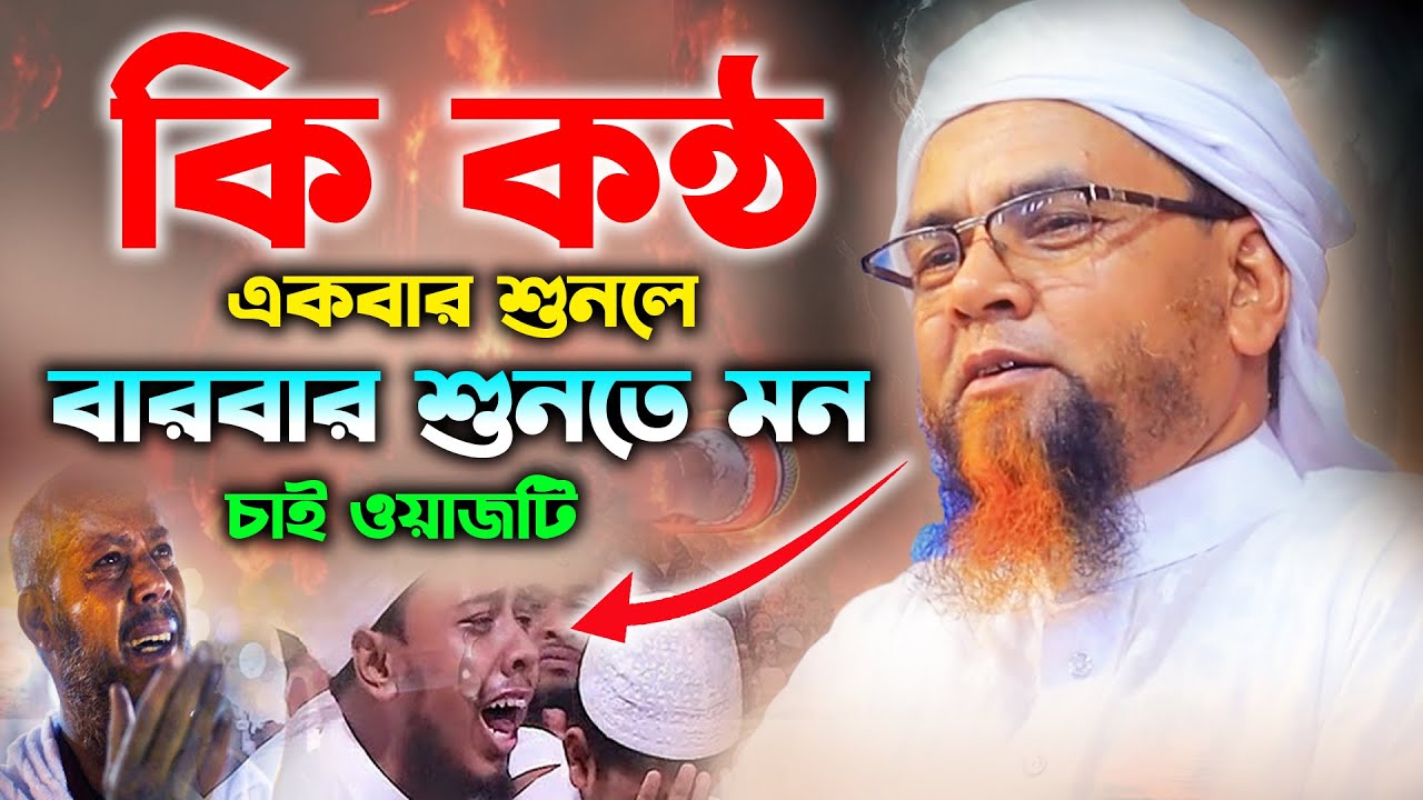 কি কন্ঠ! বারবার শুনতে মন চাই । মাওলানা হুসাইন আল মাহমুদ ওয়াজ ২০২৪ । hosain al mahmud waz 2024