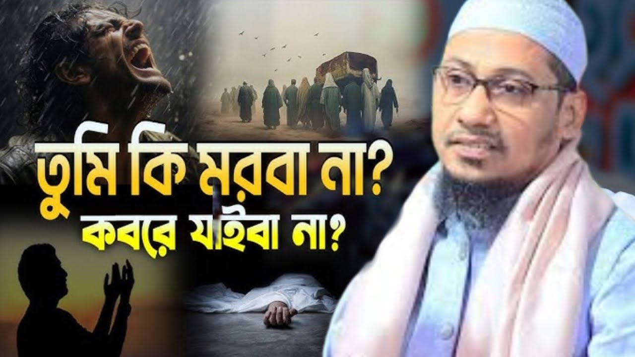 তুমি কি মরবানা বাপ 😭😭//আনিসুর রহমান আশরাফী//Anisur Rahman asrafi//, নতুন ওয়াজ 🥰🥰