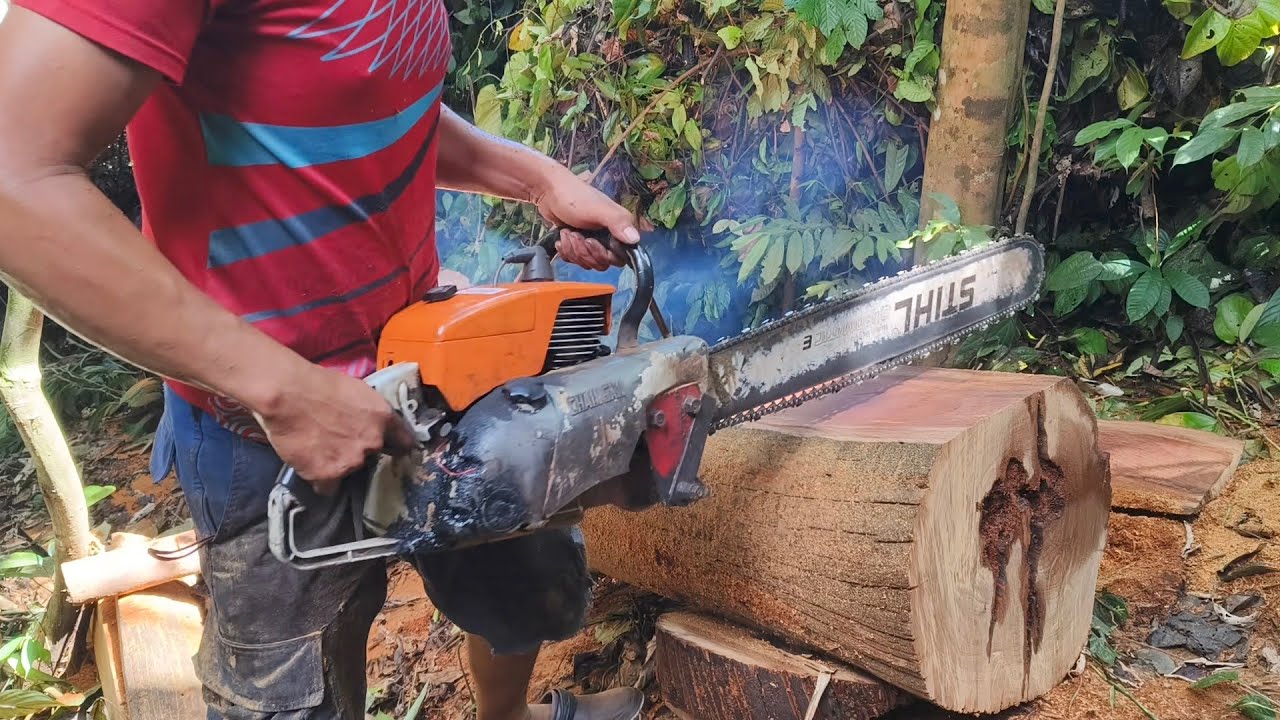 Kayu ulin part2 mengungkap keajaiban tersembunyi kayu ulin pedalaman