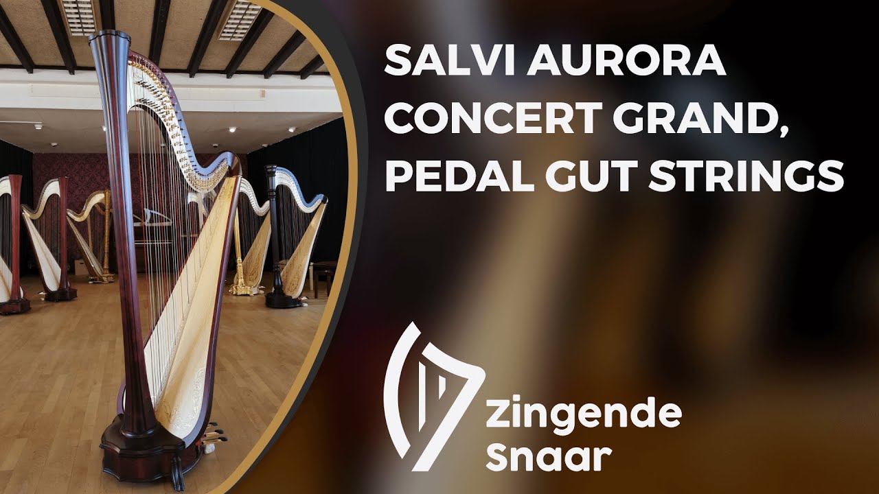 Salvi Aurora concert grand, pedal gut strings