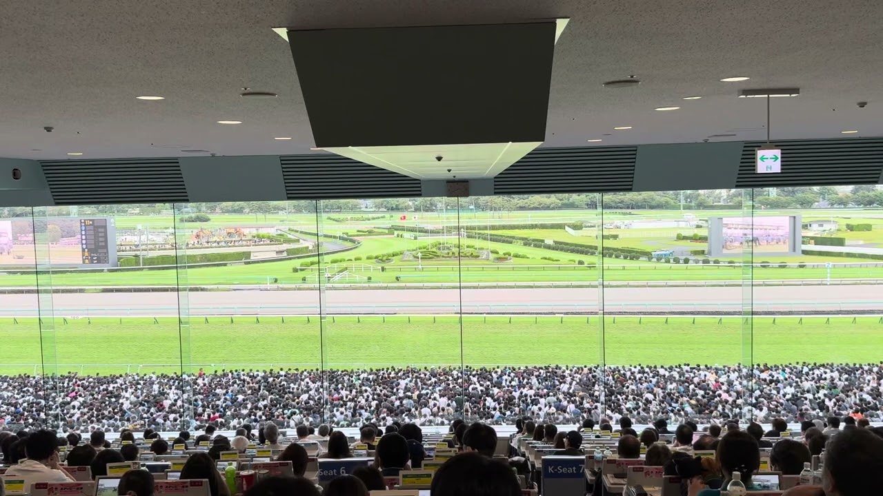 2025 スプリンターズステークス ウインカーネリアン 現地