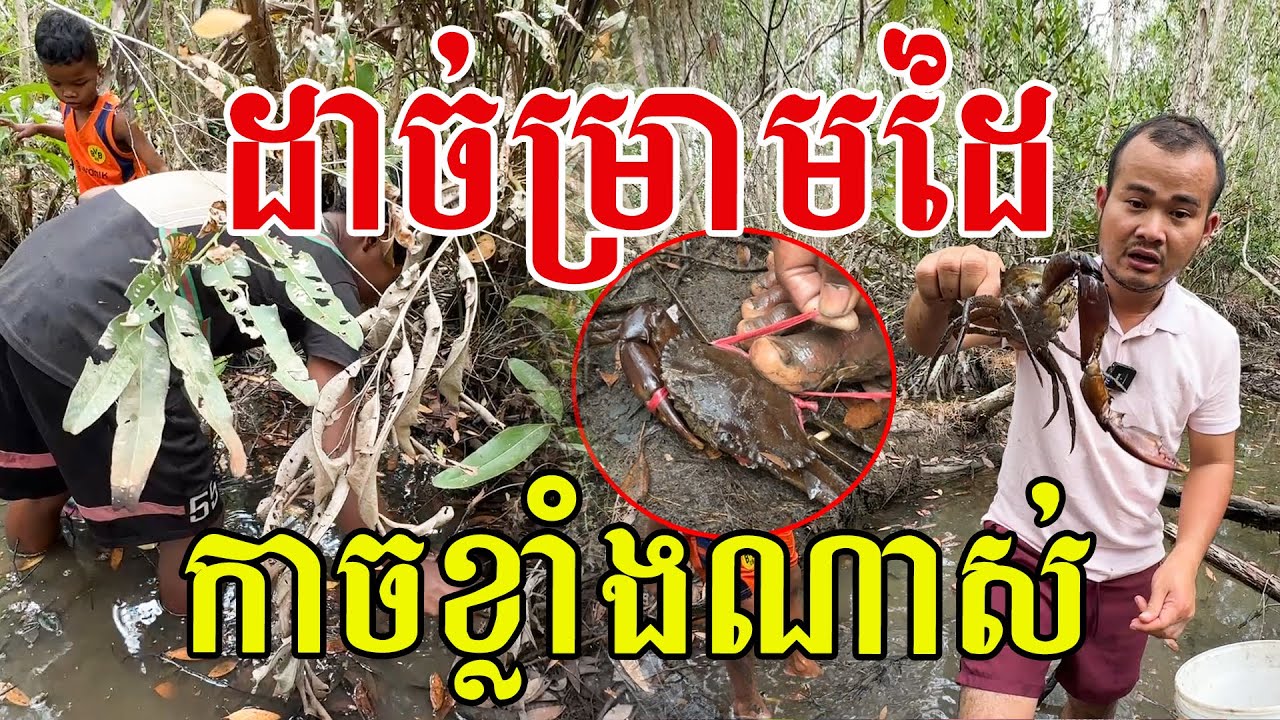 លុកភក់ចាប់ក្តាមថ្ម ជួយម្តាយទិញអង្ករ សូមសរសើរក្មួយៗពិតជាល្អមែន