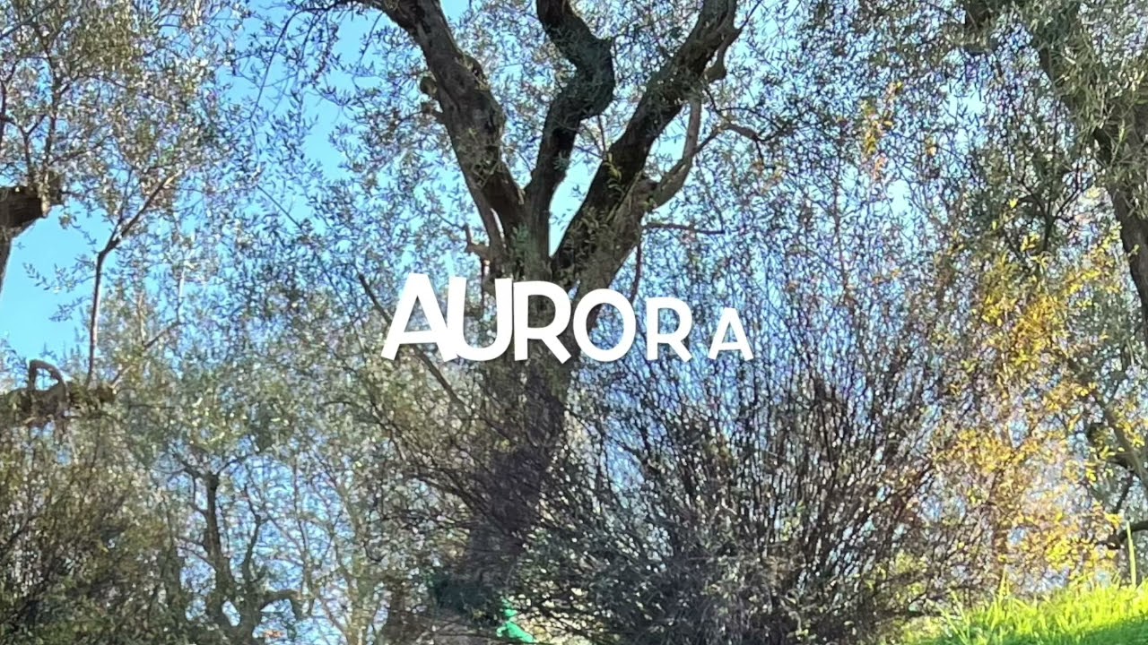 Aurora DJ Atom 3