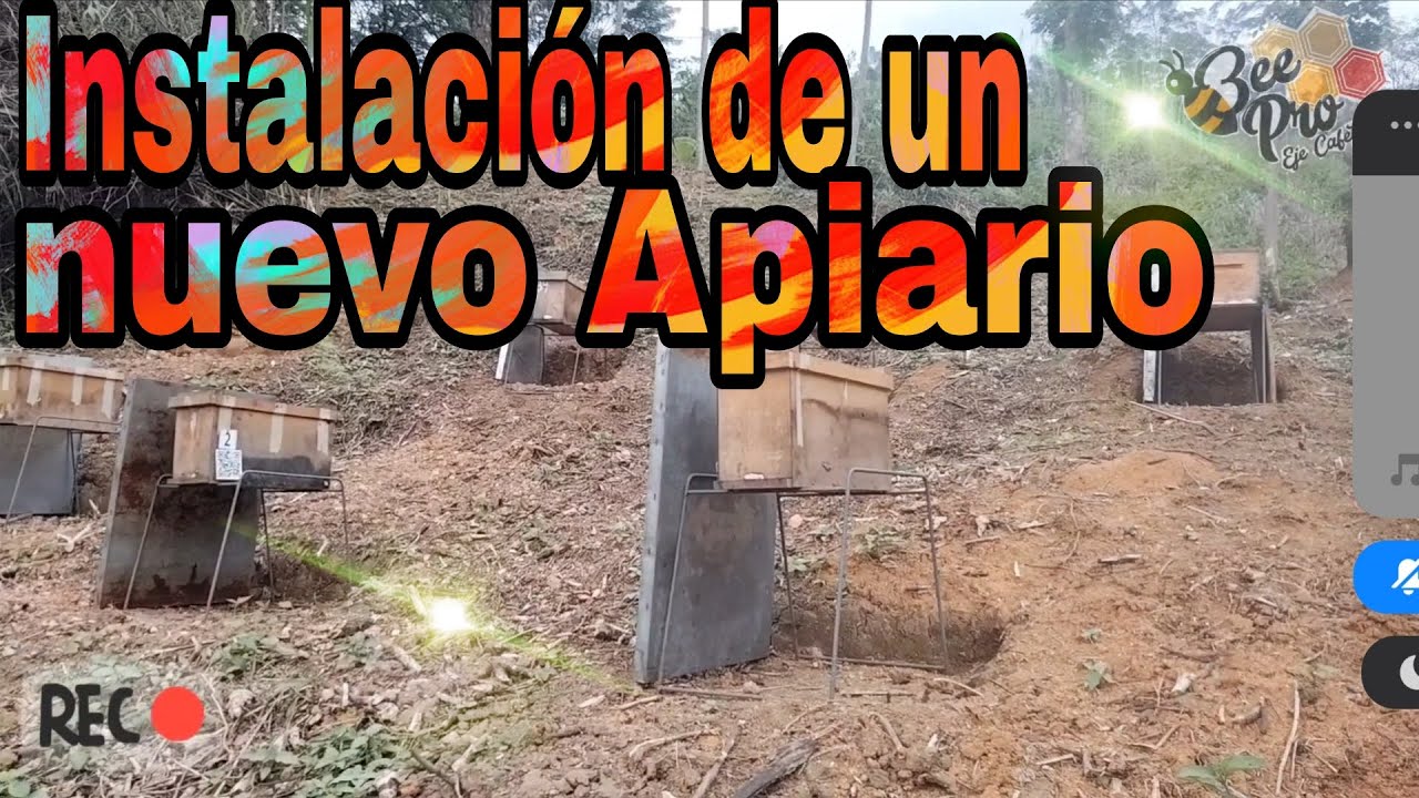 Instalación de Nuevo Apiario Balboa- Risaralda 🐝🌻