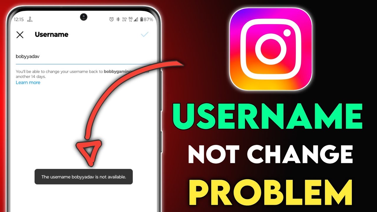 Instagram username not available problem, Instagram username not change problem, username not change