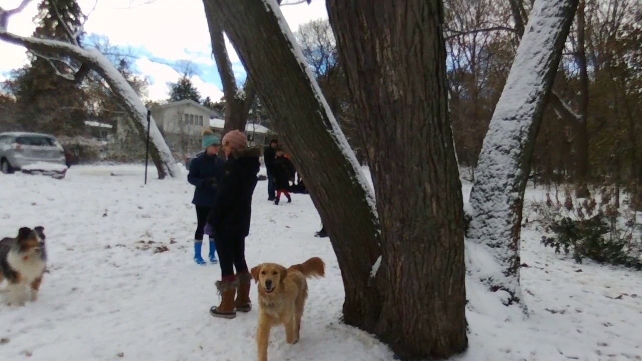 Rockcliffe Park First Snow 2017