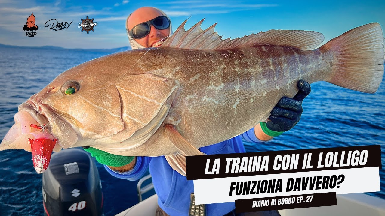 Traina MICIDIALE con il nostro LOLLIGO - Meglio dell'esca VIVA? Tutorial Completo con CATTURE