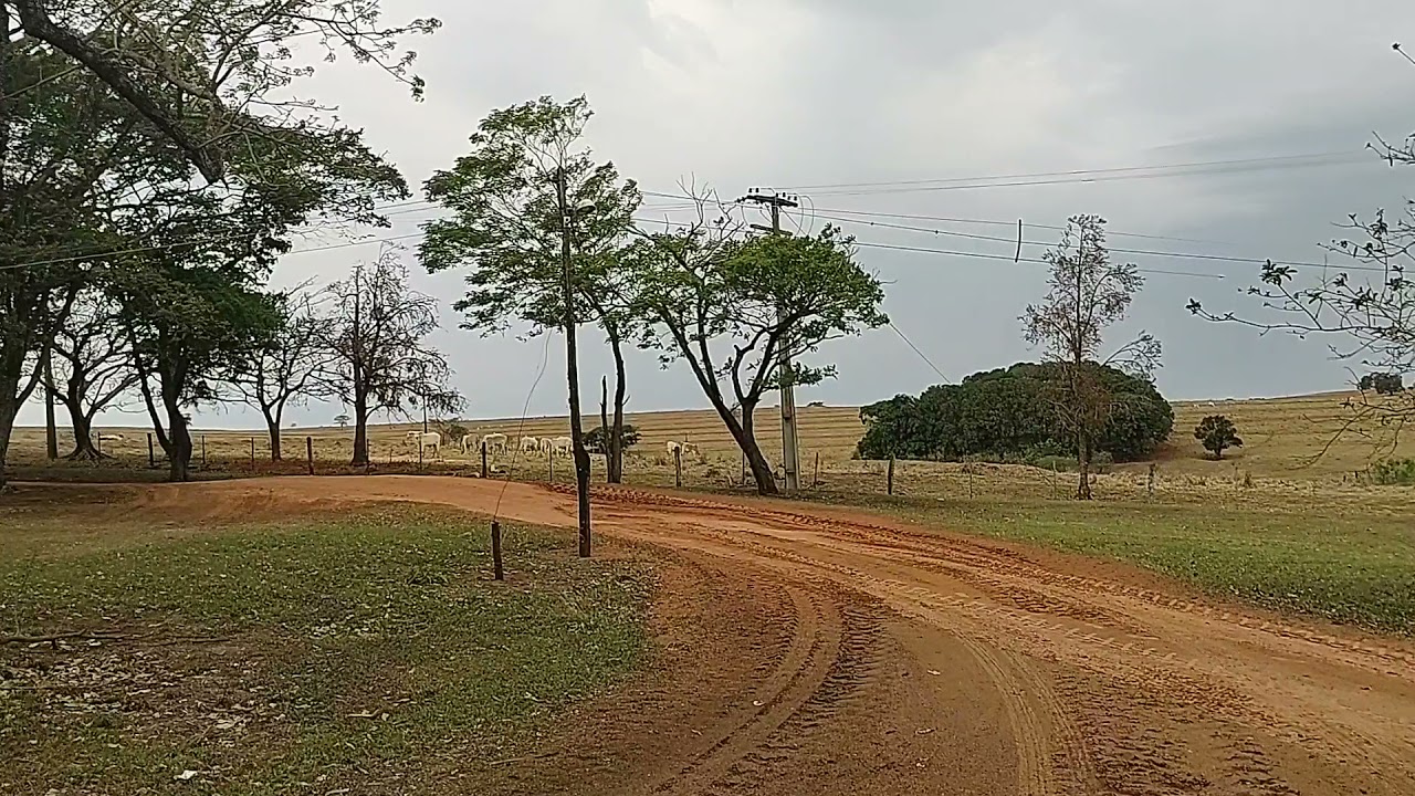 ZÉ BETTIO E SUA FAZENDA SÃO JOÃO NO INTERIOR DE SÃO PAULO.