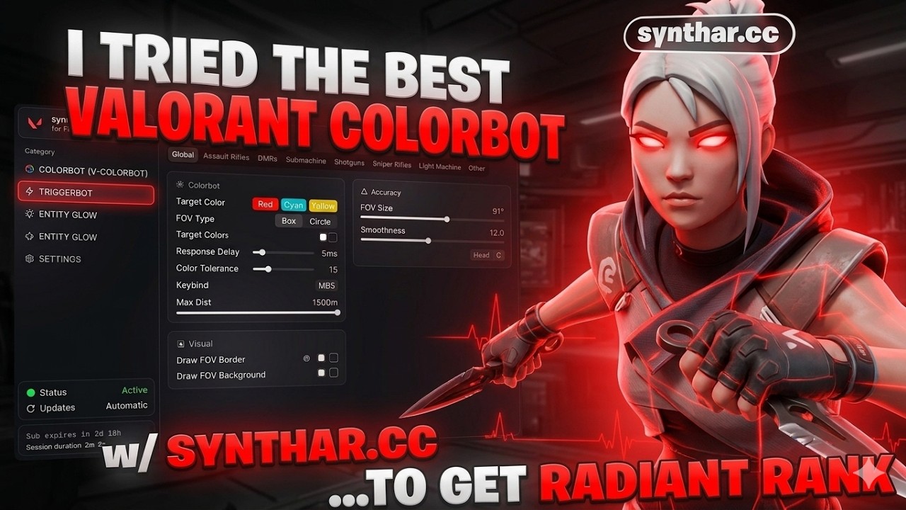 I Tried the Best Valorant Colorbot to Get Radiant Rank (Triggerbot)
