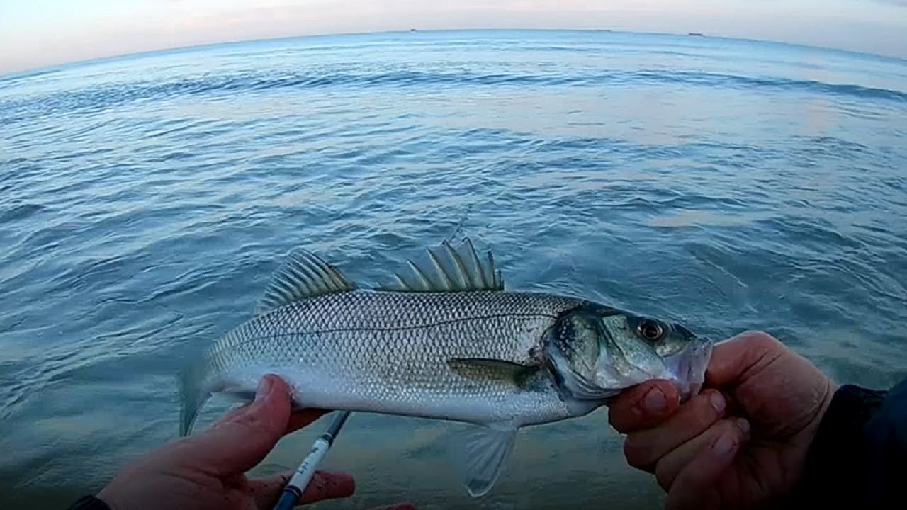 Top Arkası Silikon ile LRF (!) LEVREK AVI - Light Rock Fishing