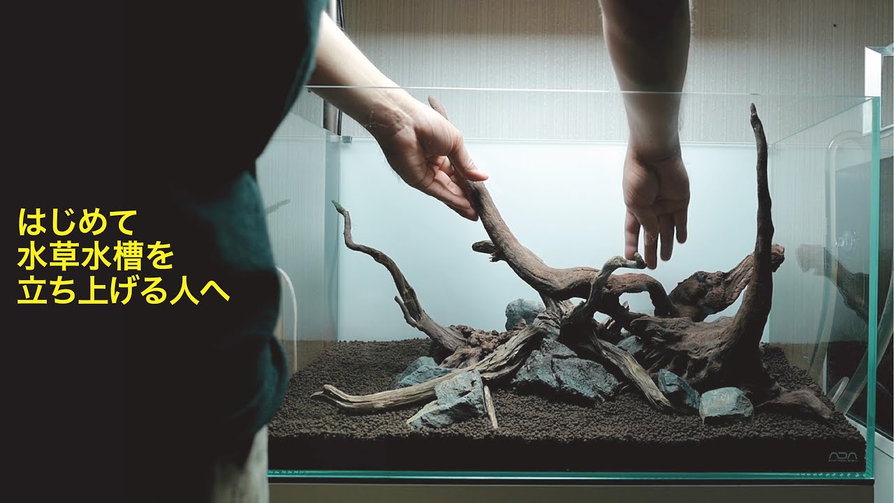 【アクアリウム初心者の方向け】水草水槽立ち上げ方法を完全解説します　#aquarium #アクアリウム #ada #水草水槽