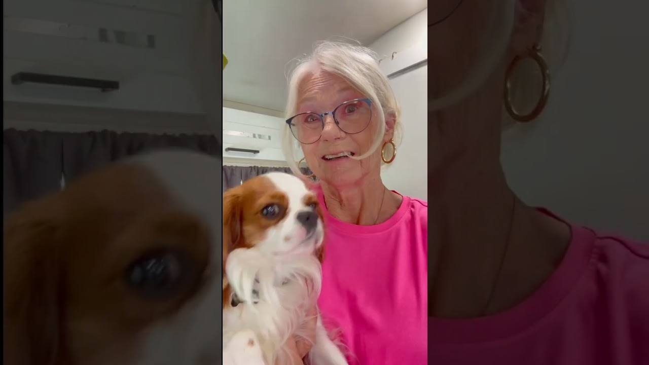 Vanlife After 65: It’s Never Too Late