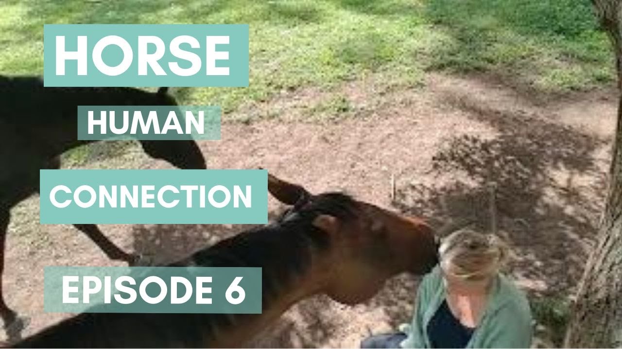 Horse Human Connection Ep6