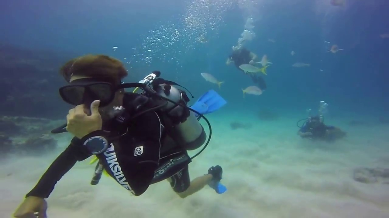 Scuba Diving - Bavaro - Punta Cana - Dominican Republic