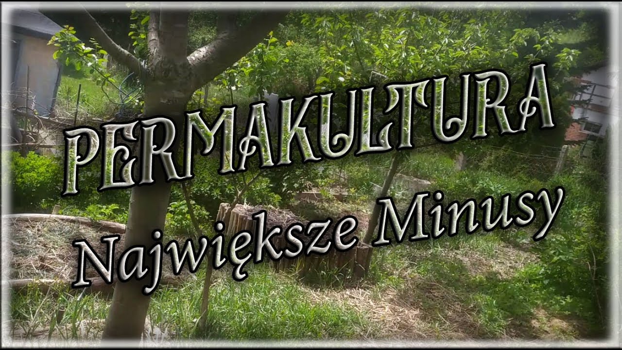 Minusy Permakultury.