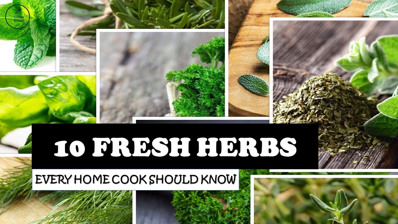 10 Fresh Herbs I Every Home Cook Should Know I Essential Herbs for Kitchen I CookBook