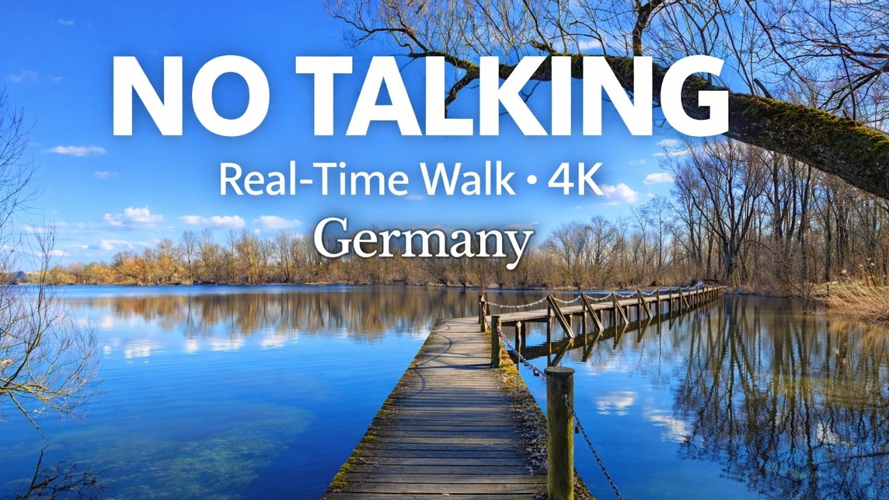 Germany Forest Walk 4K | Sunny Early Spring Morning | No Talking