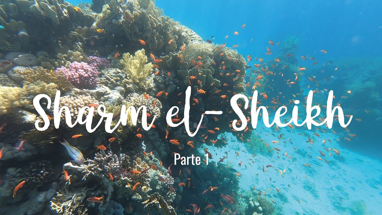 SHARM EL SHEIKH - VERACLUB REEF OASIS BEACH RESORT (pt1)
