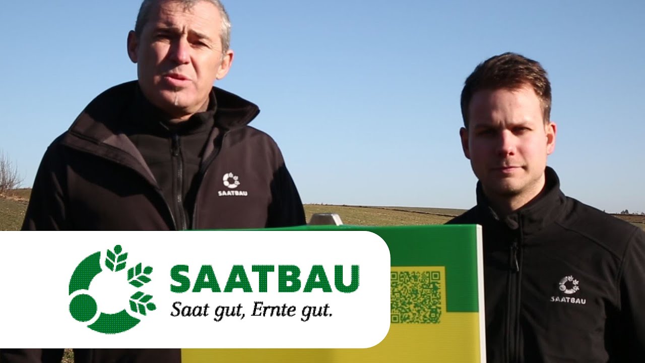 Triticale &ndash; Anbautermin und die Sorte bestimmen die Ma&szlig;nahmen 2025