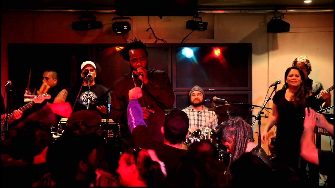Andrew Tosh - Rastaman Chant and Johnny B. Goode, Whakatane 2012