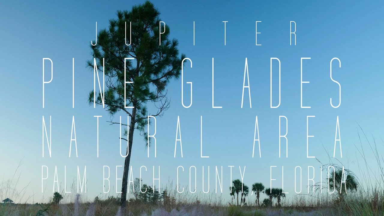 Pine Glades Natural Area, Jupiter, FL - LUMIX G7 Cinematic