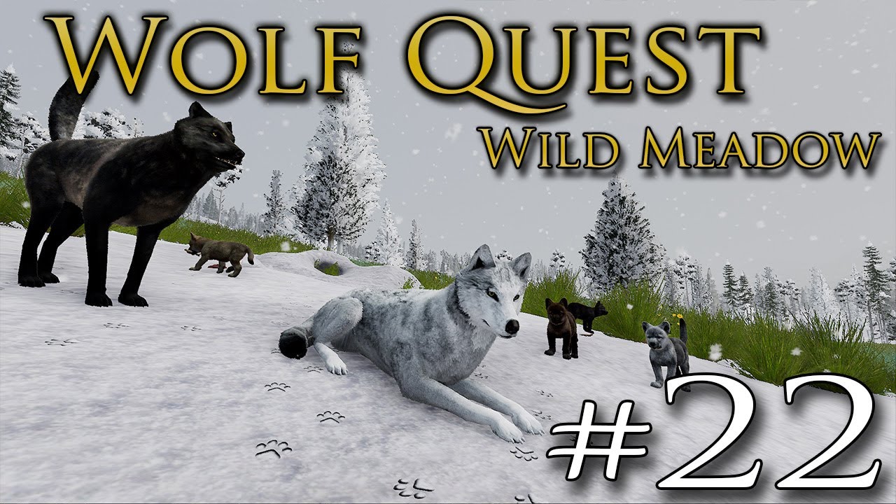 An Ancient BEAR BATTLING Legacy Returns?! 🐺 WOLF QUEST: WILD MEADOW • #22