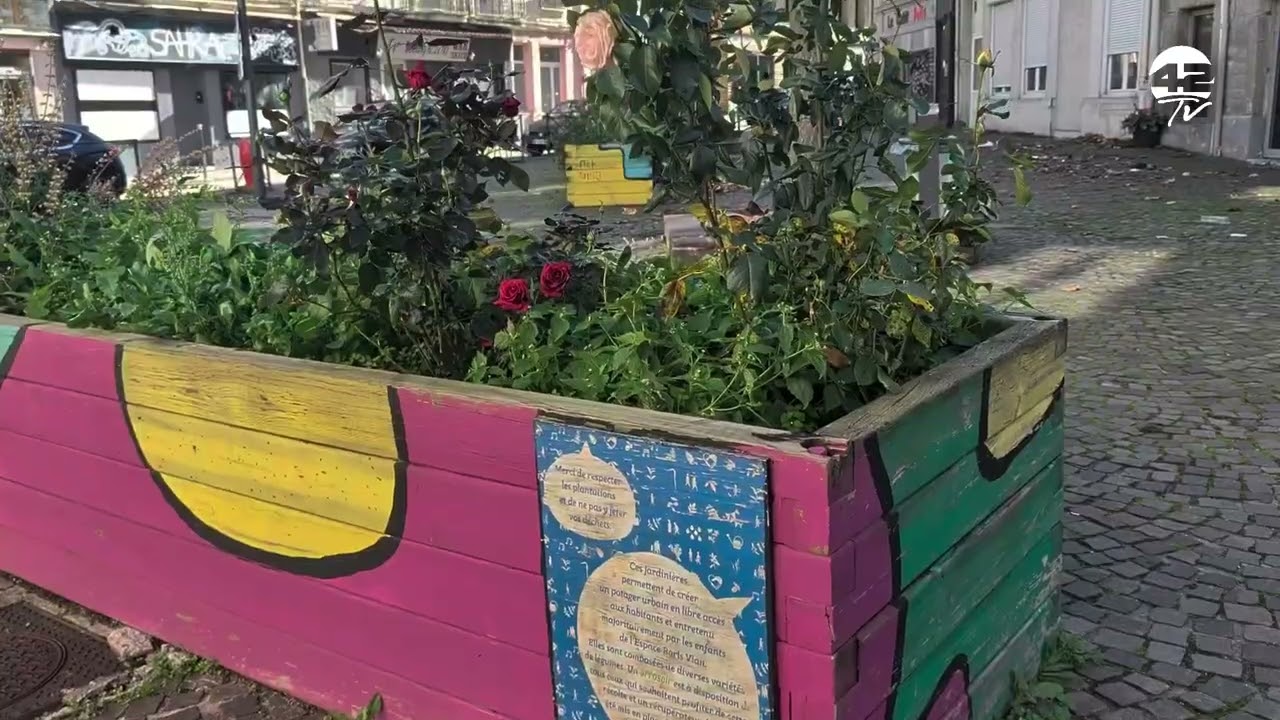 𝟰𝟮𝗧𝗩 Balade en ville | Promenade urbaine : la place Chapelon entre conservatoire et Saint-Roch