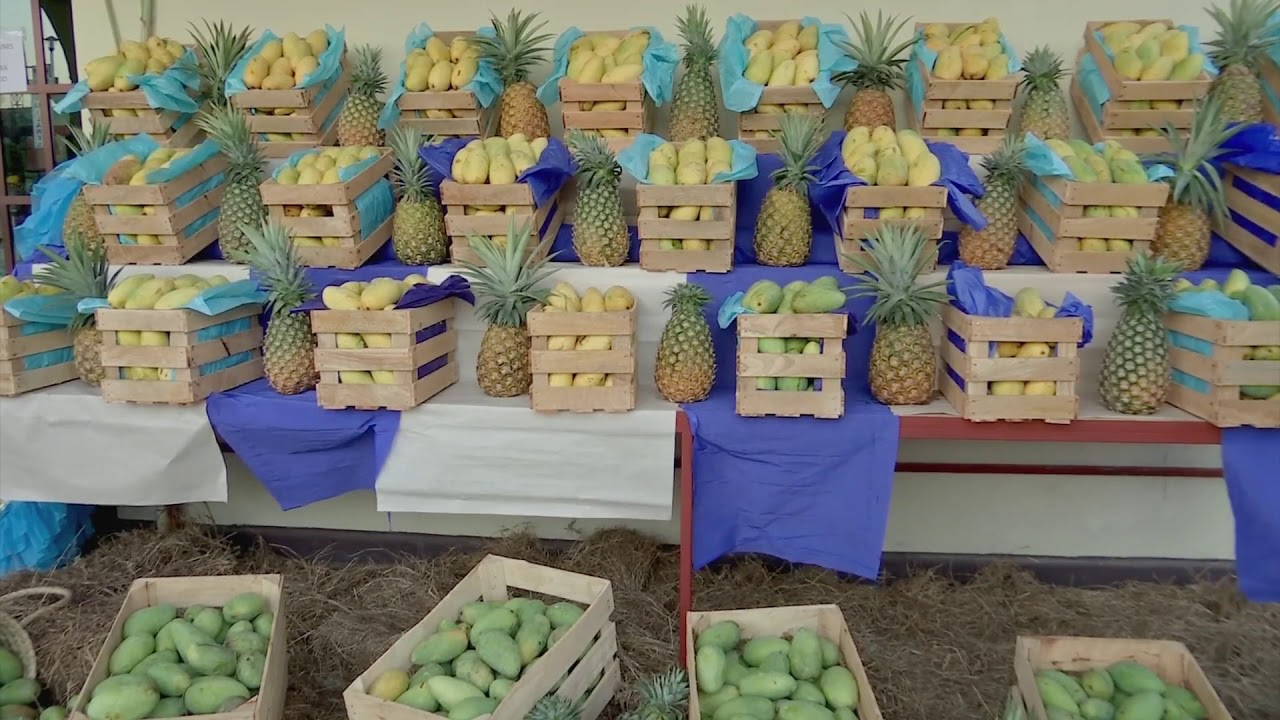 Tradiciones de Veracruz - Chacaltianguis