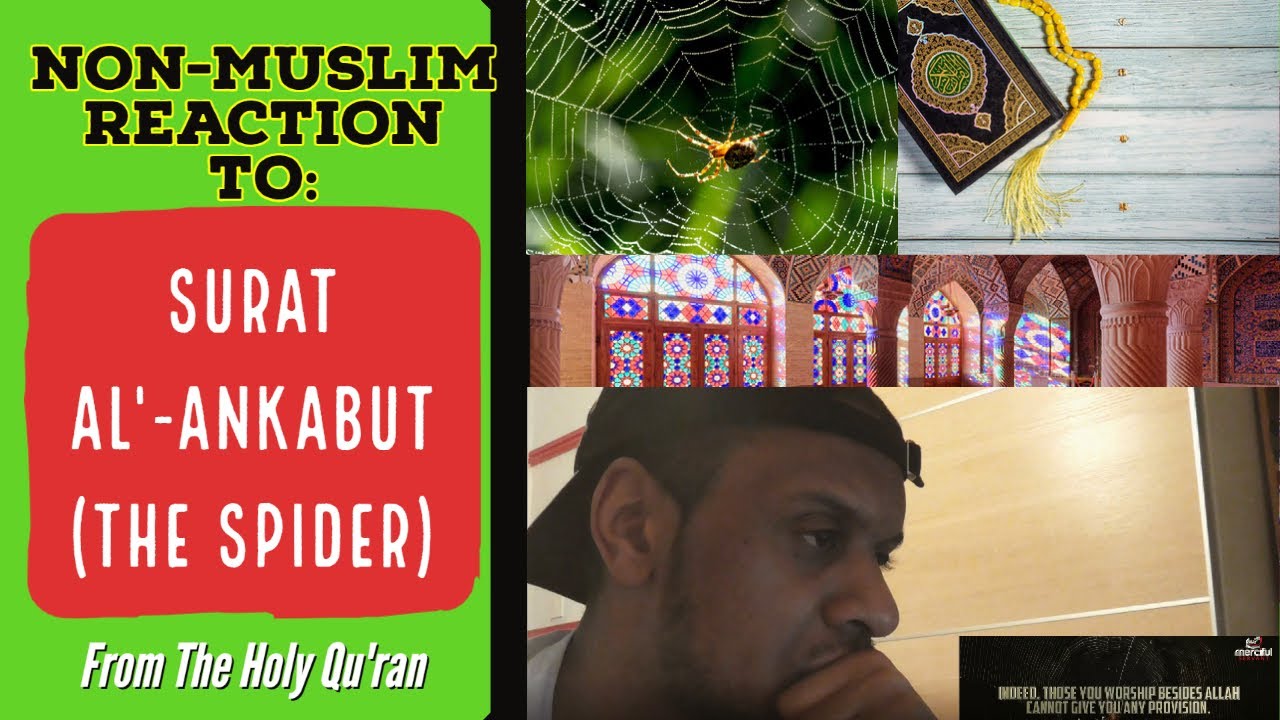 Quran Reaction: Surah Al'-Ankabut (The Spider) | Reaction to Islam