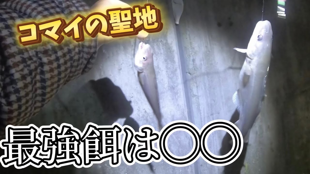 【北海道】【釣り】コマイの聖地！最強餌は◯◯⁉