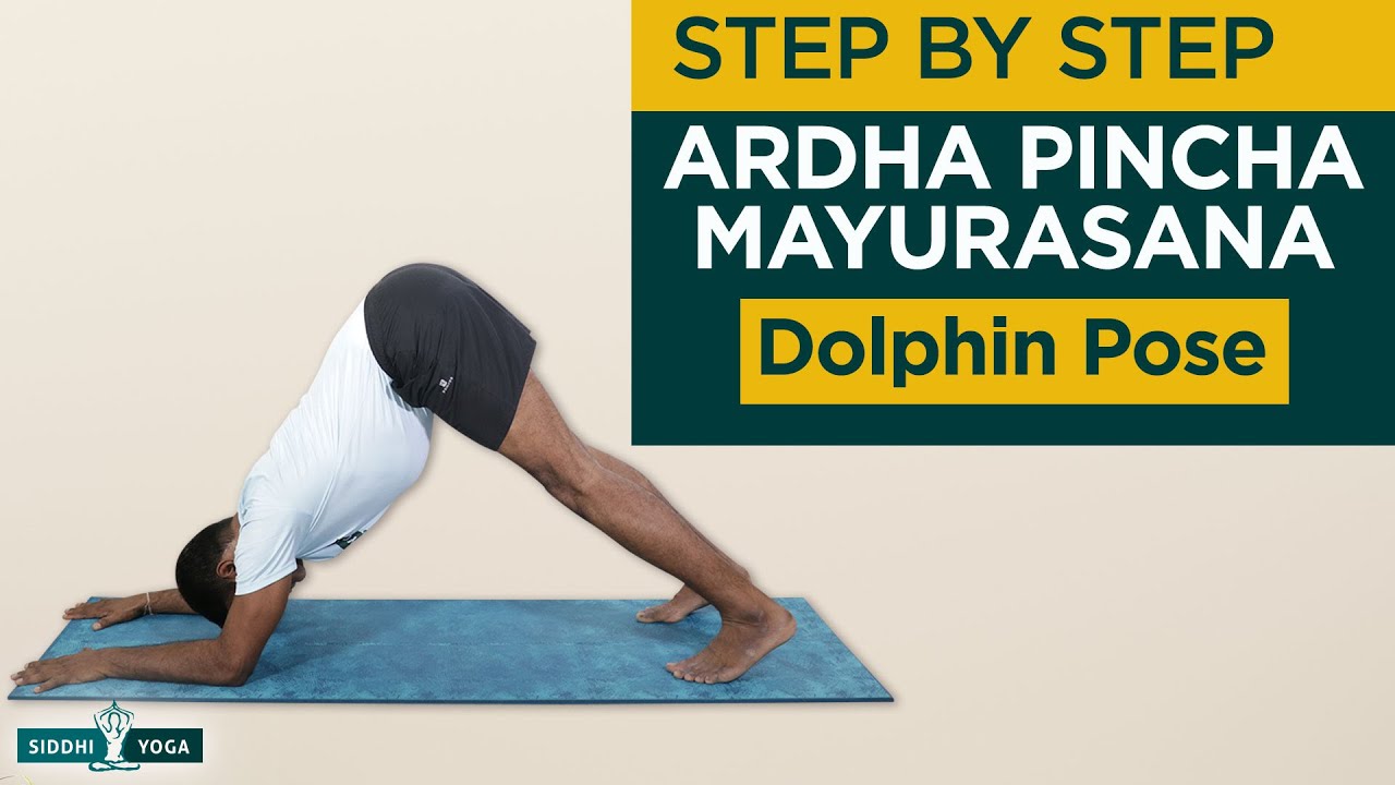 Ardha Pinch Mayurasana (Dolphin Pose) Benefits, How to Do by Yogi Ritesh - Siddhi Yoga