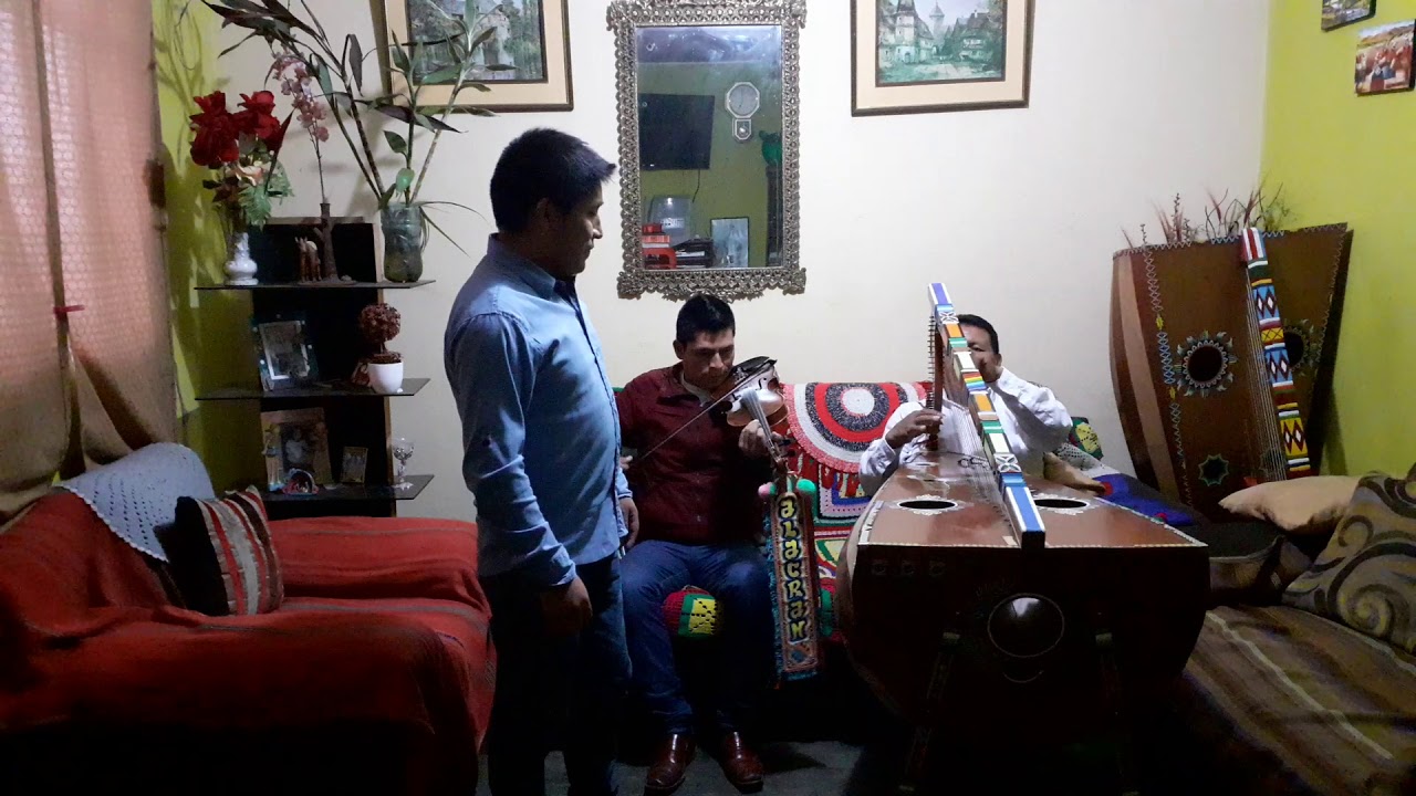 Qantucha de Parinacochas Toril 2019