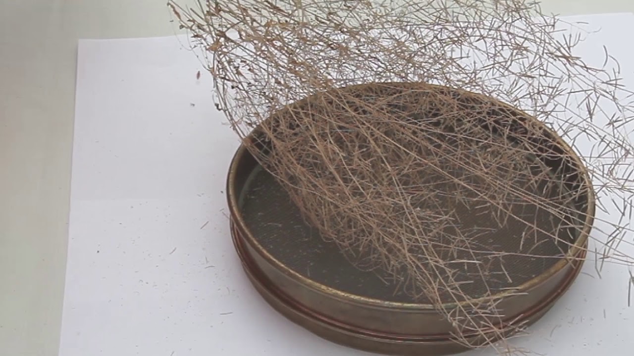 Seed Reproduction and Quality Control