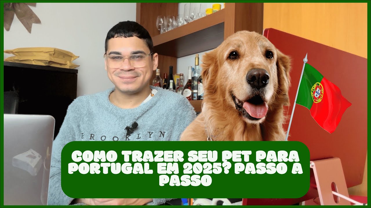 Como levar seu GATO/ CACHORRO para #Portugal EM 2025 - Valores e DICAS!