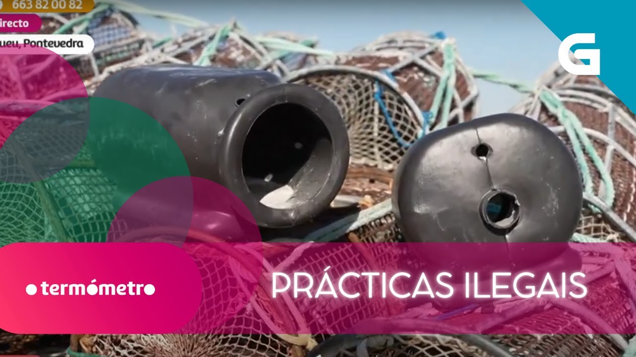 🐙🎣 Aumenta a PRESENZA de artefactos PROHIBIDOS no MAR