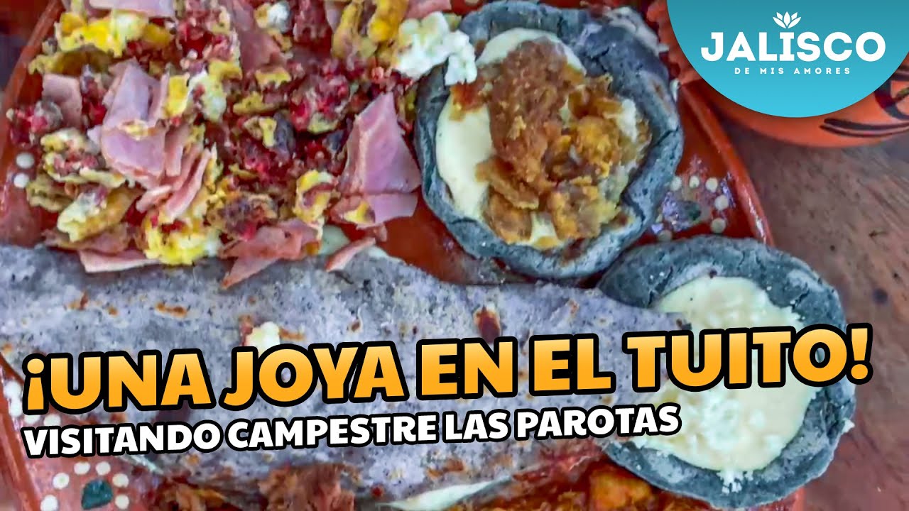 Vean la JOYA que descubrimos en EL TUITO, #CaboCorrientes😍 | Campestre las Parotas