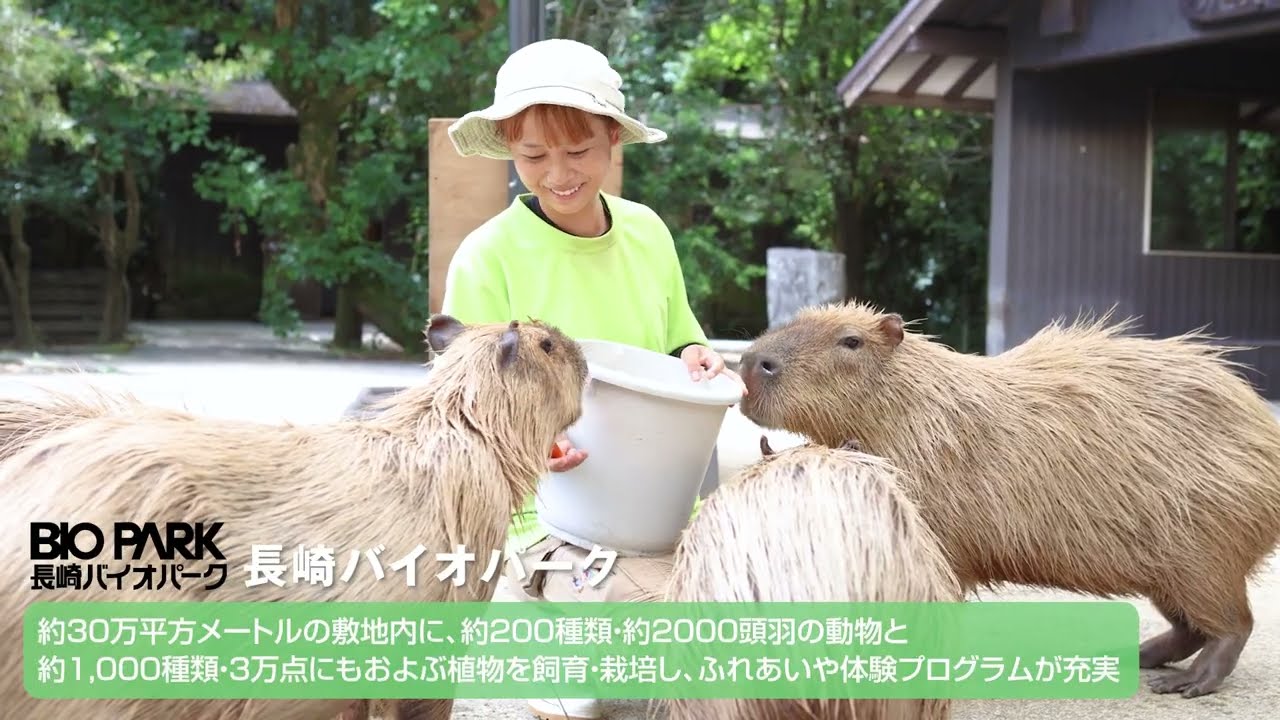 長崎バイオパーク ✕ 大阪ECO動物海洋専門学校　コラボレーションで企画展が実現！